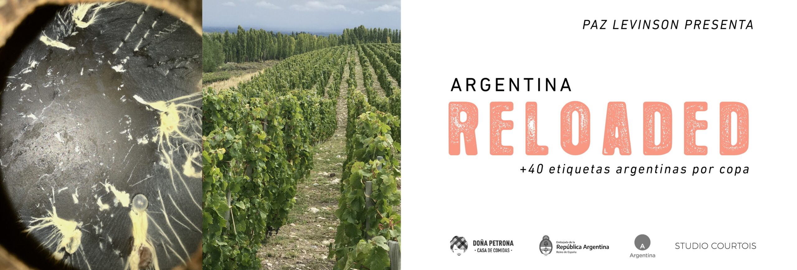 arg_reloaded_VLC_23_banner_ copia